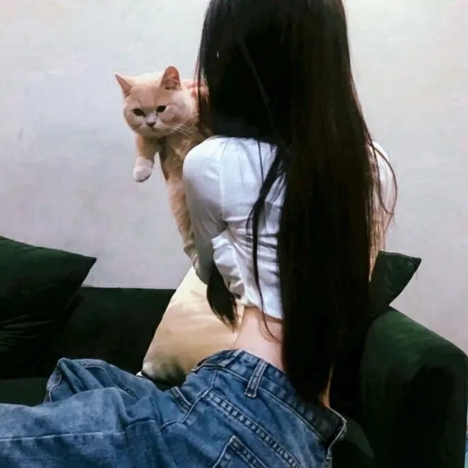 红狐